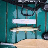 photo prise 2581 par AKIL-fishing