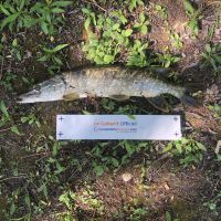 photo prise 2637 par AKIL-fishing