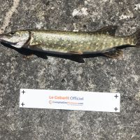 photo prise 2673 par Mattou vision FlyFishing