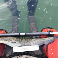 photo prise 2743 par Mickael Evok Fishing