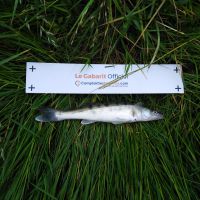 photo prise 2748 par Mickael Evok Fishing