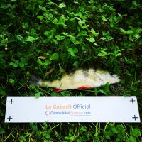 photo prise 2763 par Rader