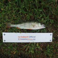 photo prise 2780 par Mickael Evok Fishing