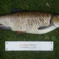 photo prise 2889 par Mr Perche 