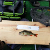 photo prise 2965 par Fish Man