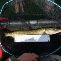 photo prise 2991 par Mickael Evok Fishing