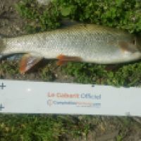 photo prise 3145 par Mr Perche 