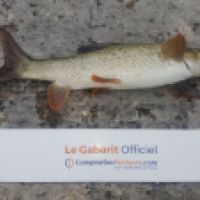 photo prise 3146 par Mr Perche 