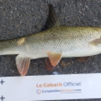 photo prise 3157 par Mr Perche 