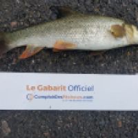 photo prise 3158 par Mr Perche 