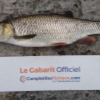 photo prise 3194 par K