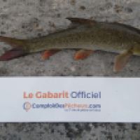 photo prise 3195 par K