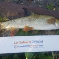 photo prise 3196 par Mr Perche 