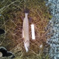 photo prise 3230 par Zander-TraKeur