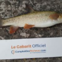 photo prise 3262 par Mr Perche 