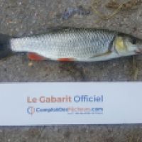 photo prise 3263 par Mr Perche 