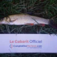 photo prise 3264 par K