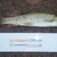 photo prise 3266 par K