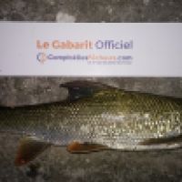 photo prise 3268 par K