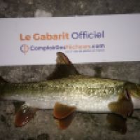 photo prise 3269 par K