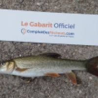 photo prise 3348 par K