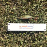 photo prise 3510 par Mattou vision FlyFishing