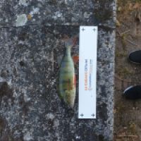photo prise 3519 par Fish Man
