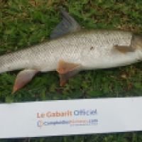 photo prise 3544 par Mr Perche 