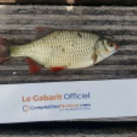photo prise 3546 par Mr Perche 