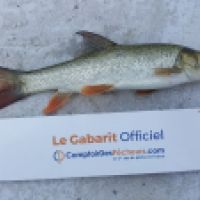 photo prise 3550 par Mr Perche 