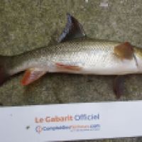 photo prise 3551 par Mr Perche 