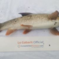 photo prise 3552 par Mr Perche 