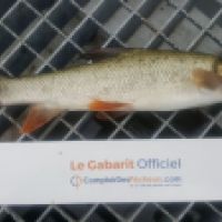 photo prise 3553 par Mr Perche 