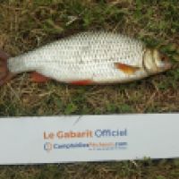 photo prise 3554 par Mr Perche 