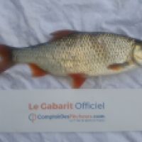 photo prise 3583 par Mr Perche 
