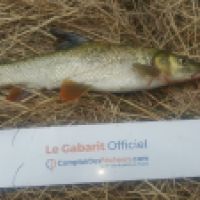 photo prise 3584 par Mr Perche 