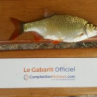 photo prise 3586 par Mr Perche 