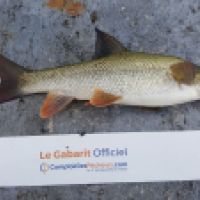 photo prise 3591 par Mr Perche 