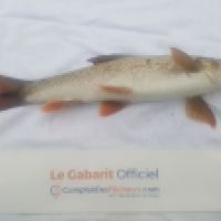 photo prise 3594 par Mr Perche 
