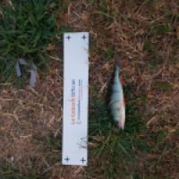 photo prise 3608 par Matfishing