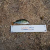 photo prise 3618 par Matfishing