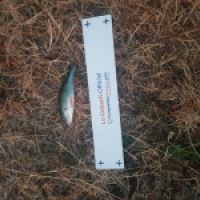 photo prise 3632 par Matfishing