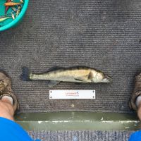 photo prise 3639 par Pêcheur