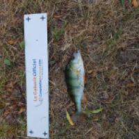 photo prise 3656 par Matfishing