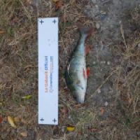 photo prise 3657 par Matfishing
