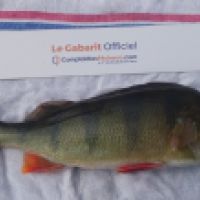 photo prise 3979 par K