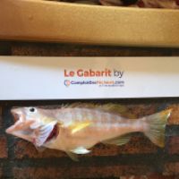 photo prise 4126 par Laurent