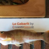 photo prise 4127 par Laurent