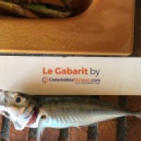 photo prise 4128 par Laurent