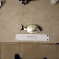 photo prise 4155 par Pitou